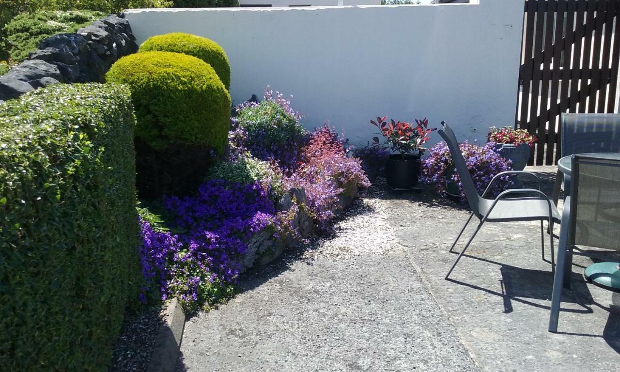 Gentian Villa B&B Ballyvaughan Kültér fotó